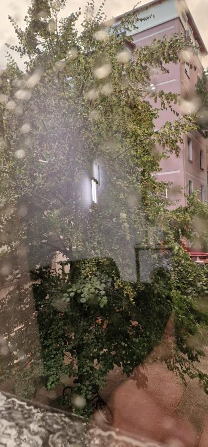 Heart Of Tirana Apartment エクステリア 写真